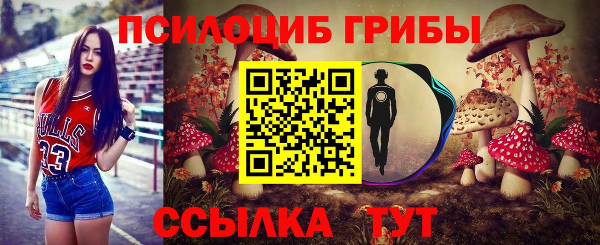 Псилоцибиновые грибы мицелий Кирово-Чепецк