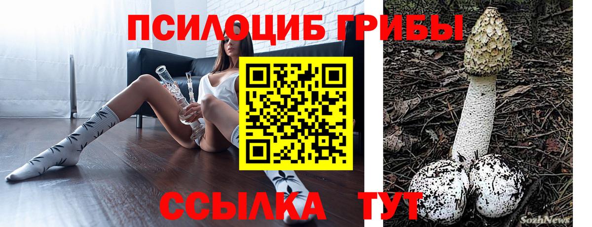 Кирово-Чепецк  Псилоцибиновые грибы Psilocybine cubensis  Вход с VPN  Галлюциногенные грибы Cubensis 